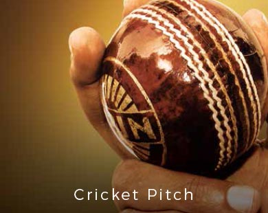 Cricket Pitch